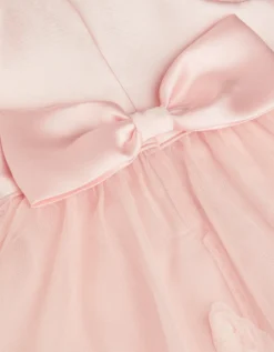 Baby Eden Appliqué Rose Tulle Dress Pink