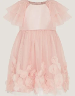 Baby Eden Appliqué Rose Tulle Dress Pink