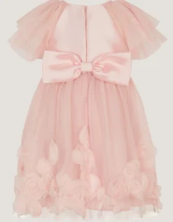 Baby Eden Appliqué Rose Tulle Dress Pink