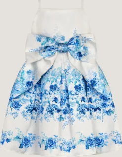 Baby Rose Print Bow Party Dress Multi