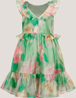 Blurry Floral Organza Ruffle Dress Green