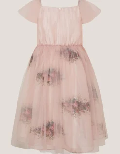 Charlotte Short Sleeve Floral Tulle Dress Pink
