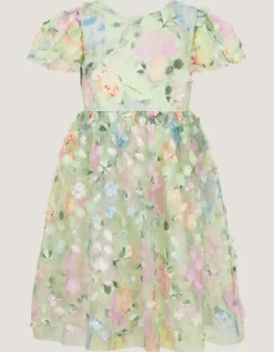 Eliza Floral Appliqué Party Dress Multi