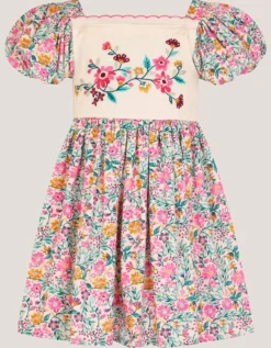 Embroidered Floral Dress Multi