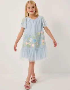 Emilia Embroidered Drop Waist Party Dress Blue