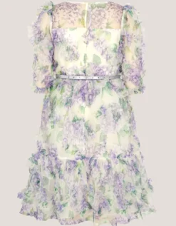 Hydrangea Ruffle Party Dress Multi