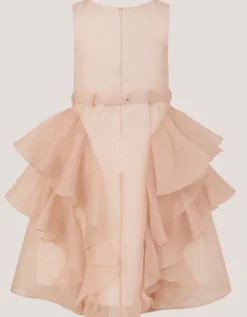 Joanie Organza Ruffle Party Dress Pink