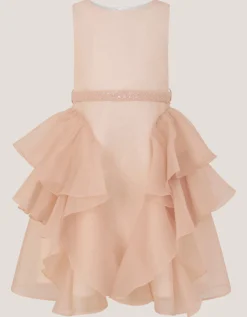 Joanie Organza Ruffle Party Dress Pink