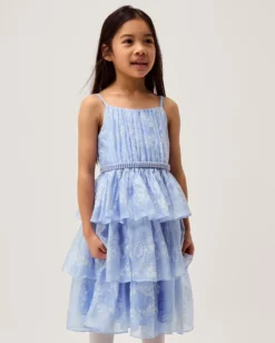 Lily Floral Print Tiered Dress Blue