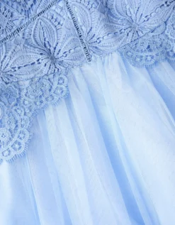 Monica Floral Lace Tulle Dress Blue