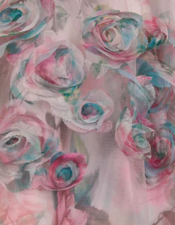 Rose Appliqué Tulle Dress Multi